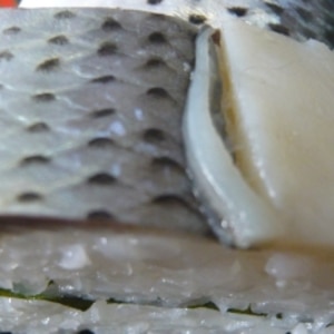 コハダの手まり寿司